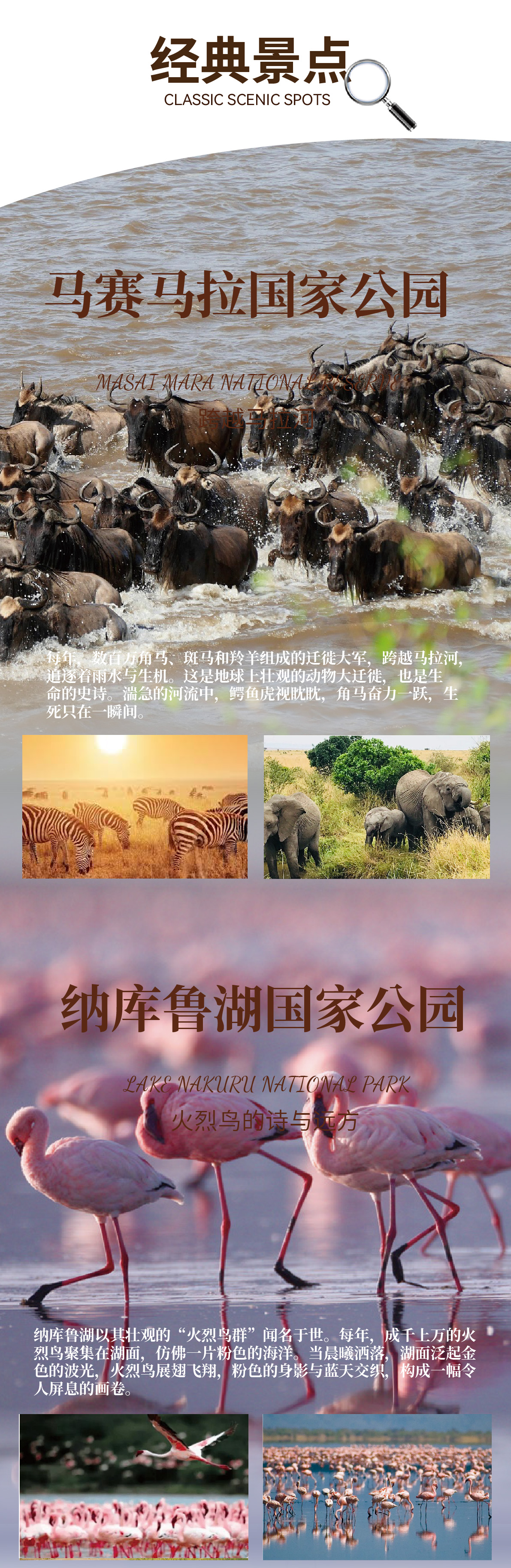 c6014089-e9ee-4bdb-b00e-9b6bf1cd4a06