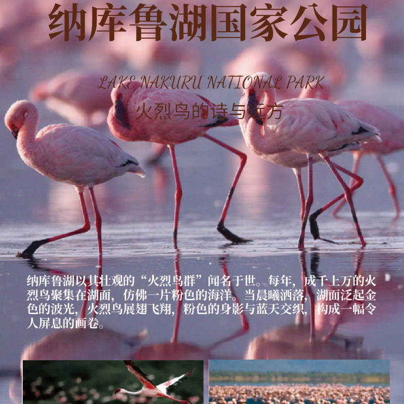 359f720dfd617baf0c6eee751434fef8 359f720dfd617baf0c6eee751434fef8