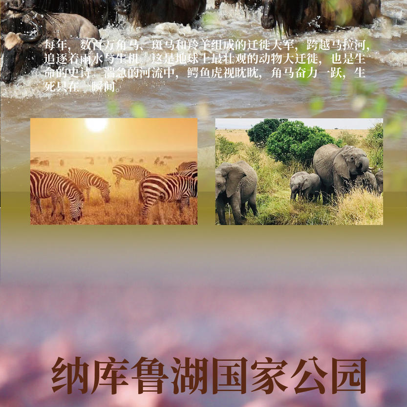 c4f121ca-7b26-4ca2-b739-c6667ab88c8c c4f121ca-7b26-4ca2-b739-c6667ab88c8c