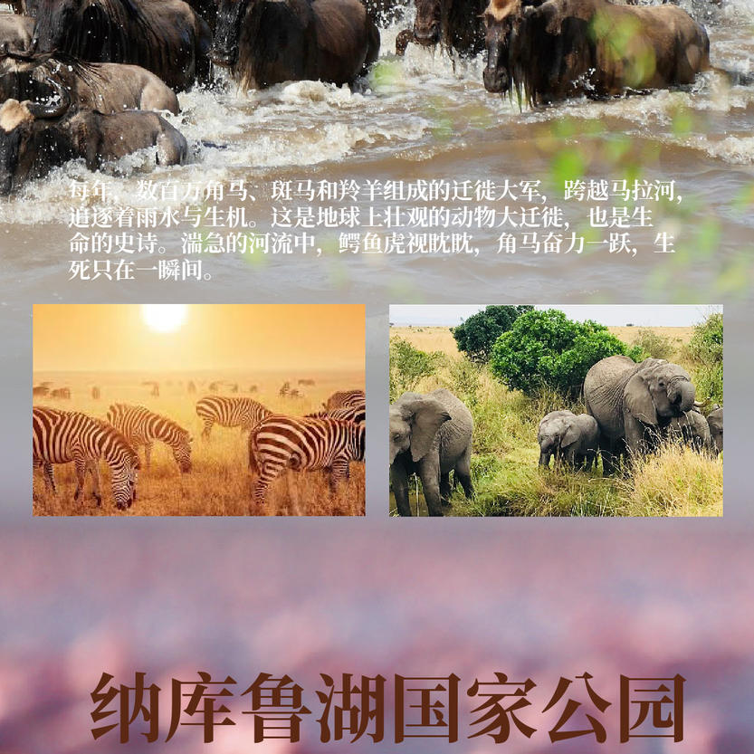 b8cf953f-591a-41b8-991a-eb72de6cdfaa b8cf953f-591a-41b8-991a-eb72de6cdfaa