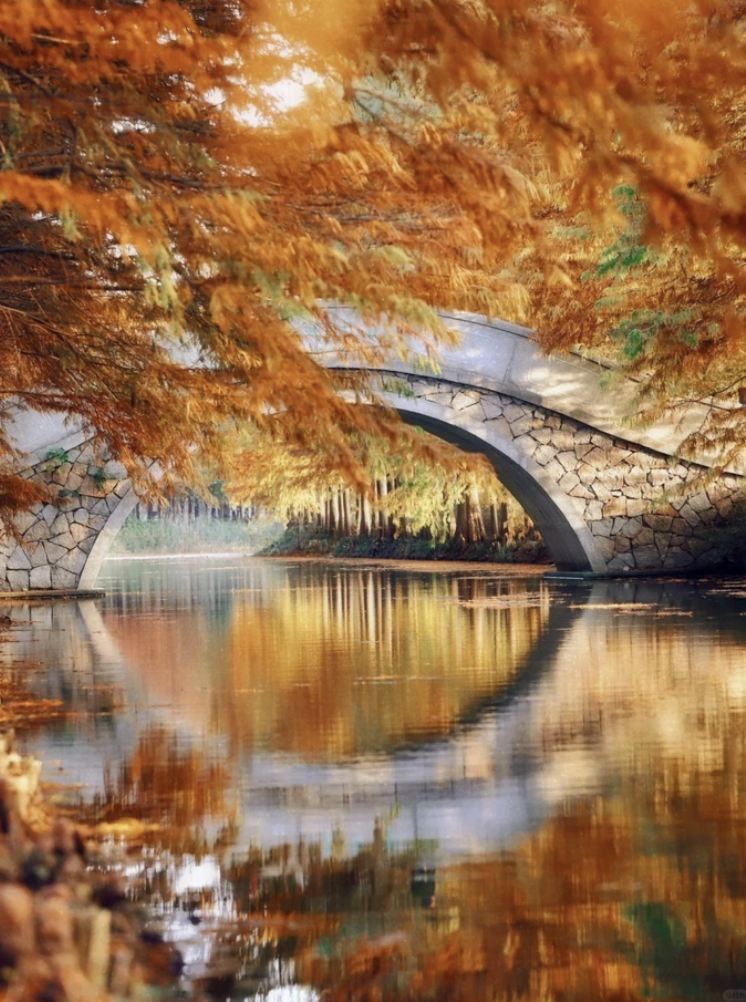 【苏州天平山红叶+木渎古镇】含大巴省心1日游|赏天平山枫叶，游江南水乡木渎古镇，品古镇美食!